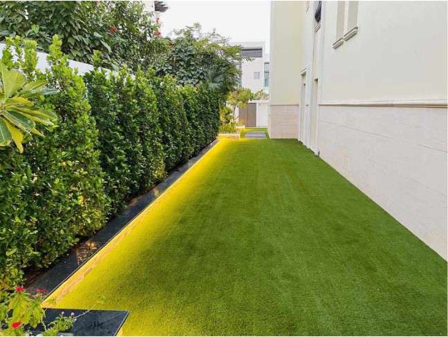 Enjoy the beauty of a green lawn adorned with carefully manicured bushes in the backdrop, all meticulously maintained by a reputable landscaping company in Dubai. Witness the expertise and dedication of Dubai's premier landscaping professionals in creating a verdant and well-kept outdoor haven.