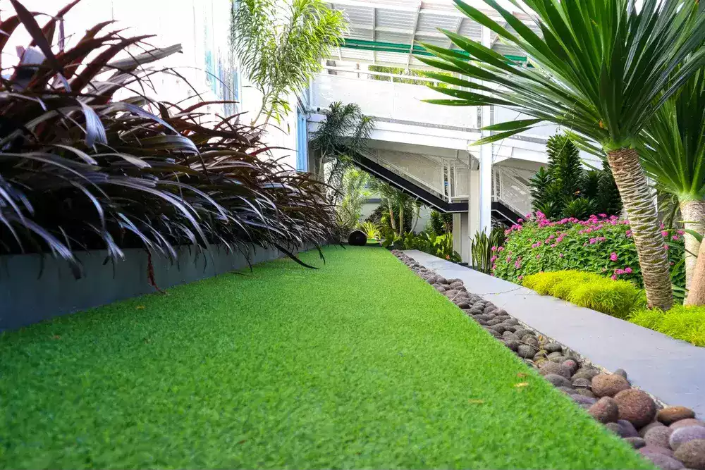Choose Nice Plants for Lawn Garden Landscaping In your Home