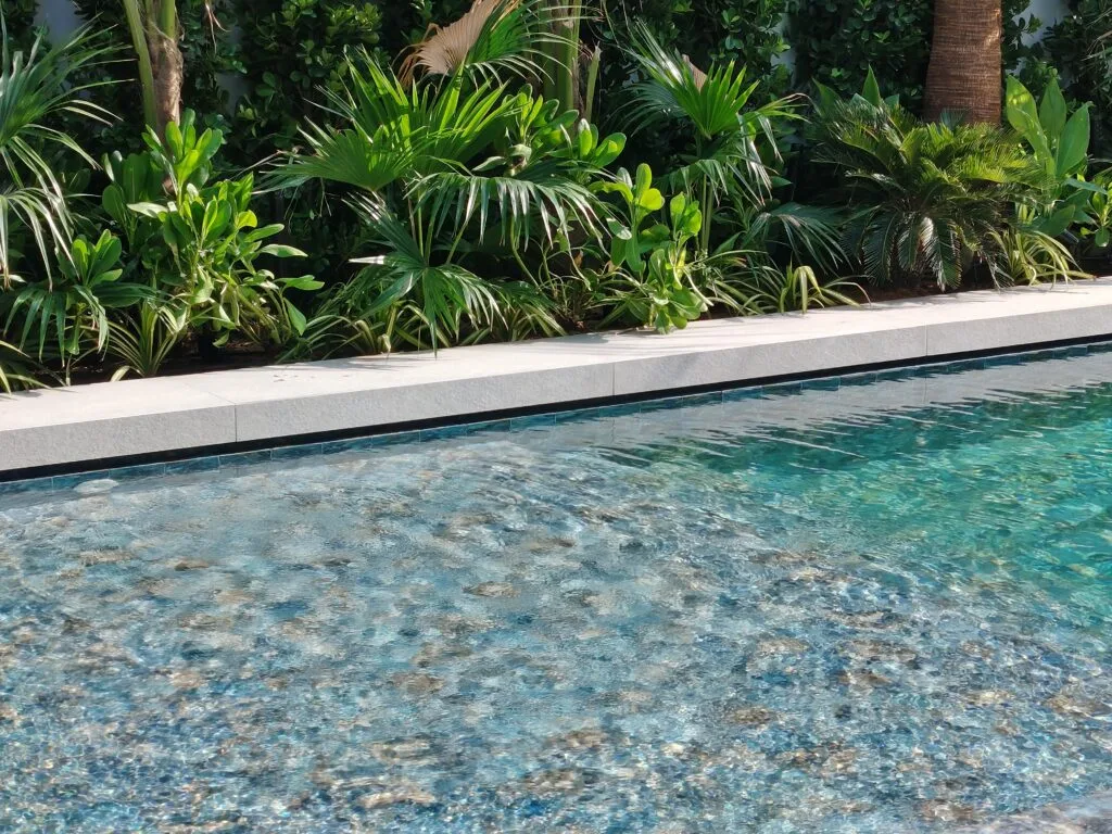 Layered planting behind pale swimming pool coping.
