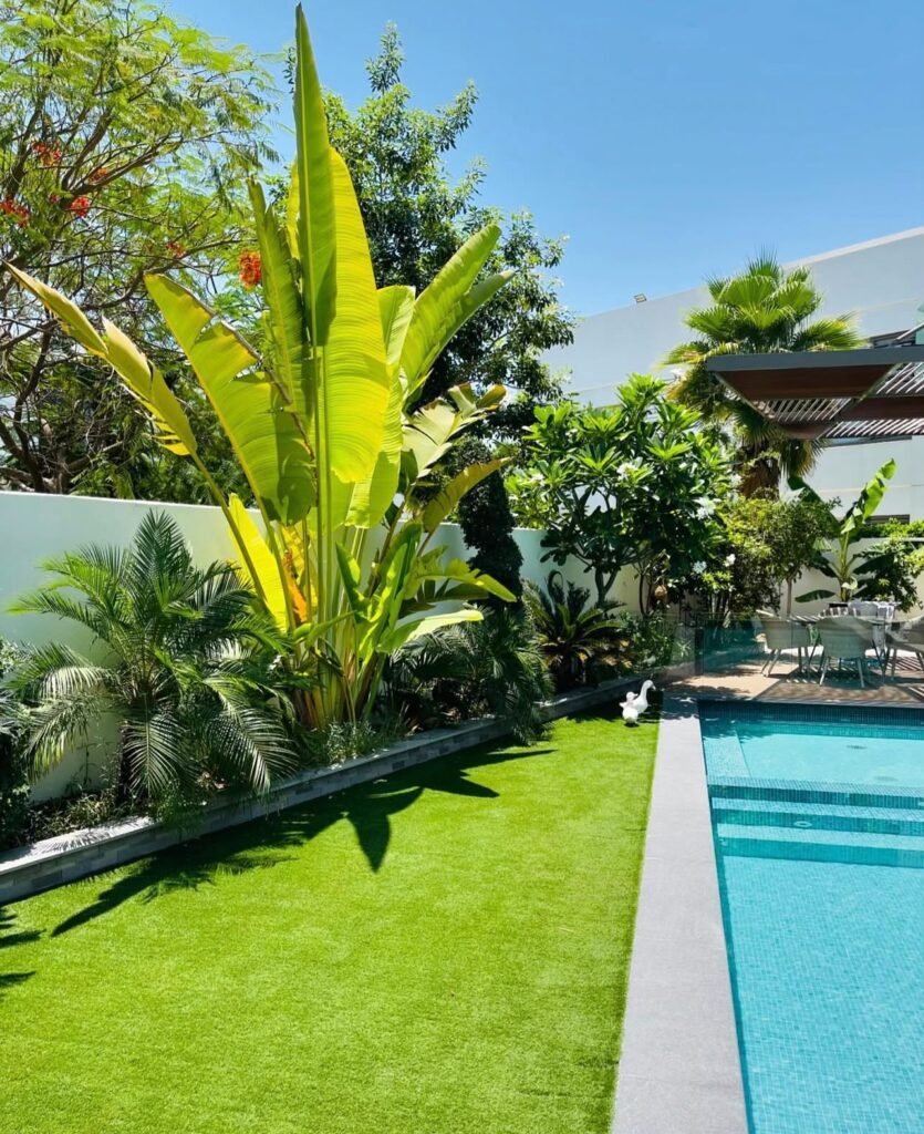 A poolside lawn bordered by tropical planting, with paving along the swimming pool edge.