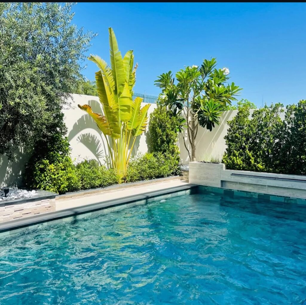A tiled swimming pool framed by pale coping, palms, trees and layered tropical planting.