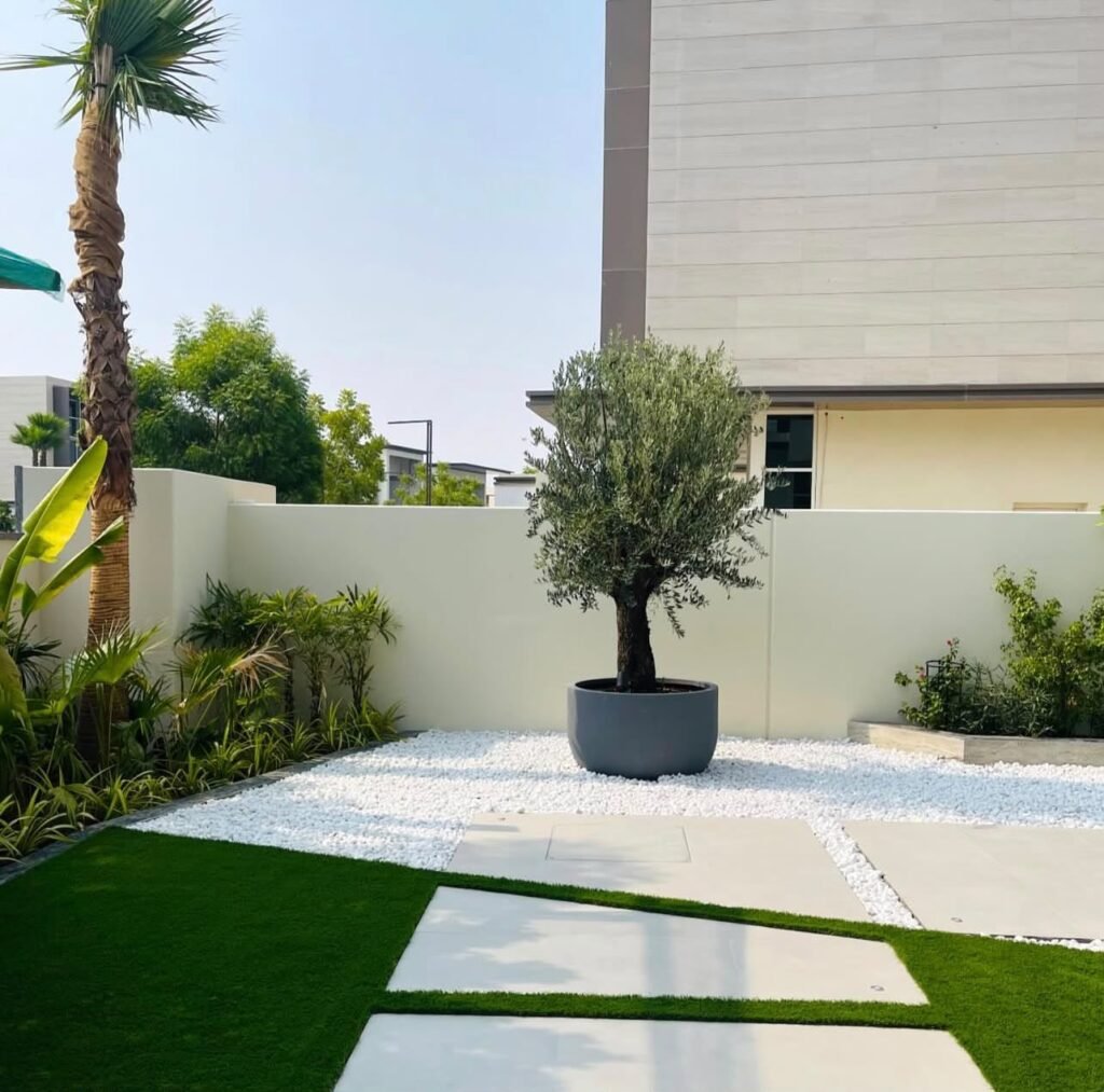 A courtyard garden with lawn, broad paving slabs, gravel beds and a potted tree as a focal point.